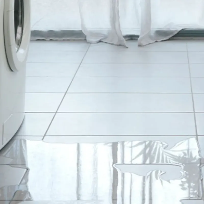 Appliance Leak Cleanup in San Carlos, CA